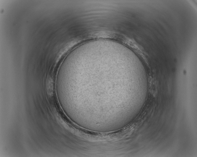 X0000064750012200602131238