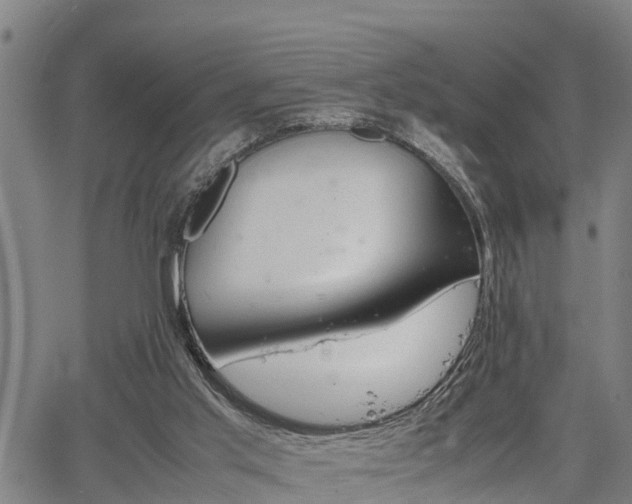 X0000064750013200602131238