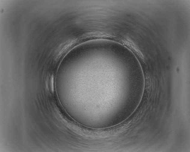 X0000064750014200602131238