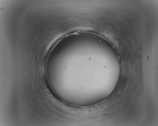 X0000064750015200602131238