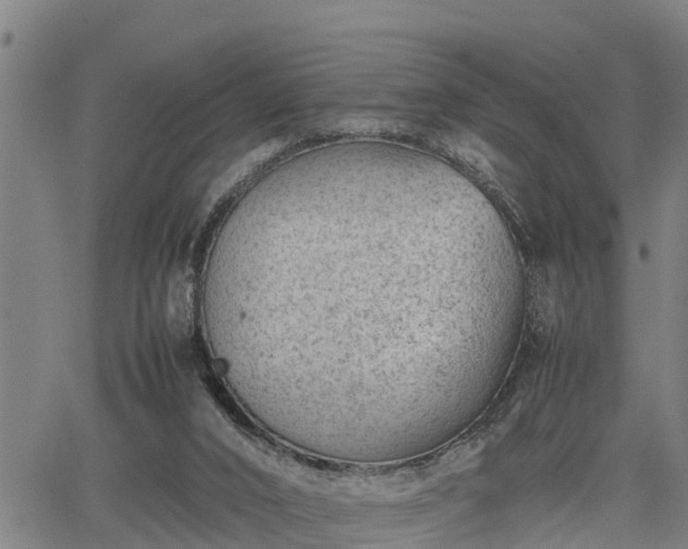 X0000064750016200602131238