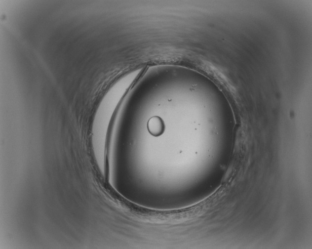 X0000064750017200602131238