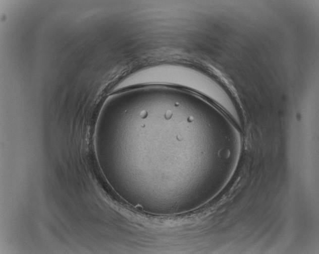 X0000064750018200602131238