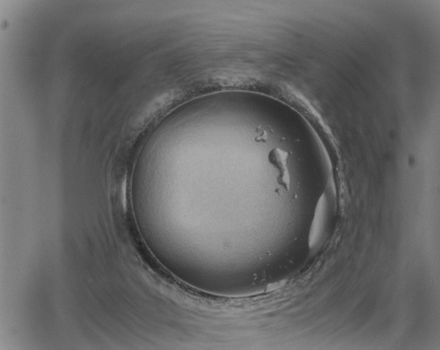 X0000064750019200602131238