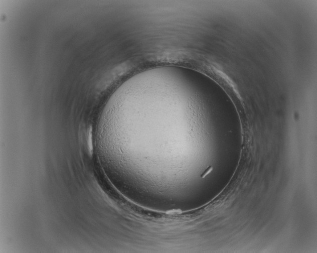 X0000064750020200602131238