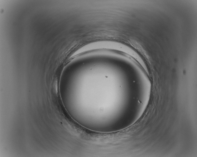 X0000064750021200602131238