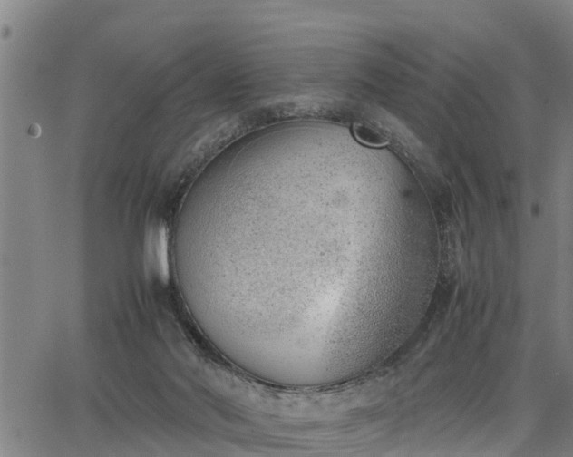 X0000064750022200602131238