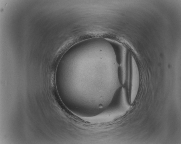 X0000064750023200602131238