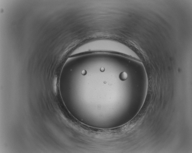 X0000064750024200602131238