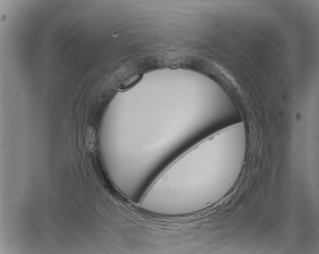 X0000064750025200602131238