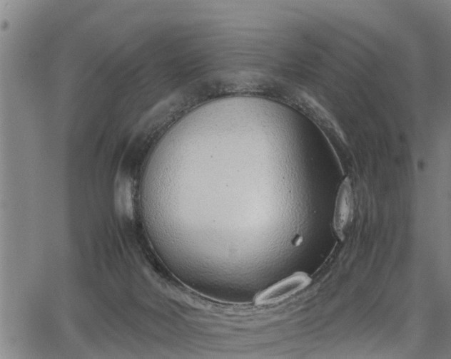 X0000064750026200602131238