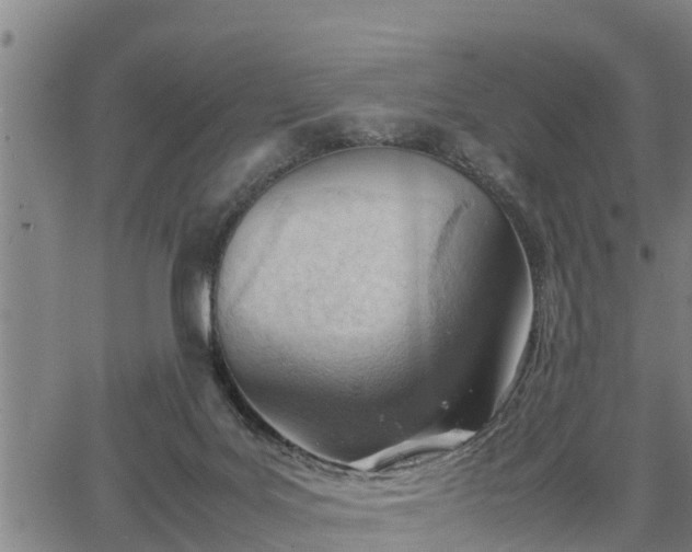 X0000064750027200602131238