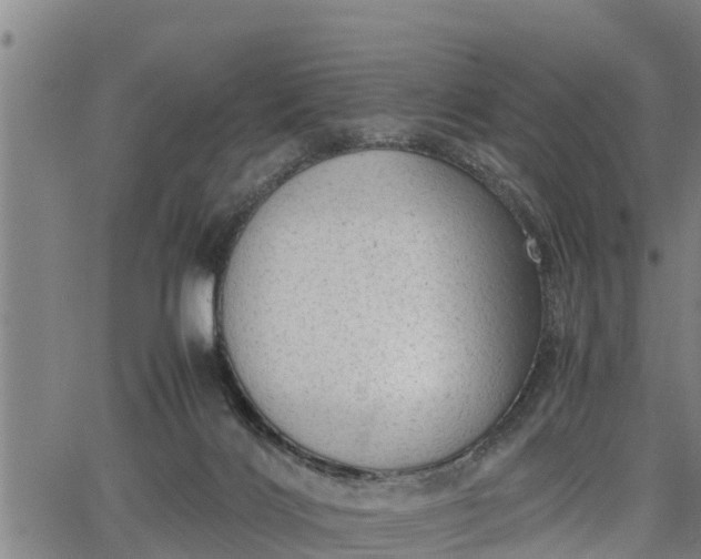 X0000064750028200602131238