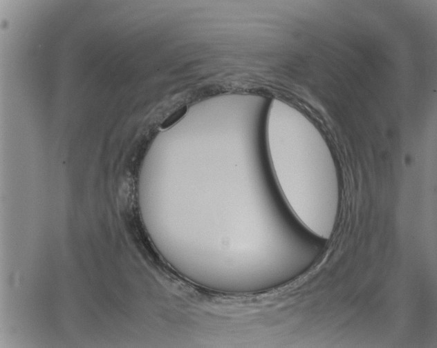 X0000064750029200602131238