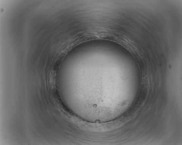 X0000064750030200602131238