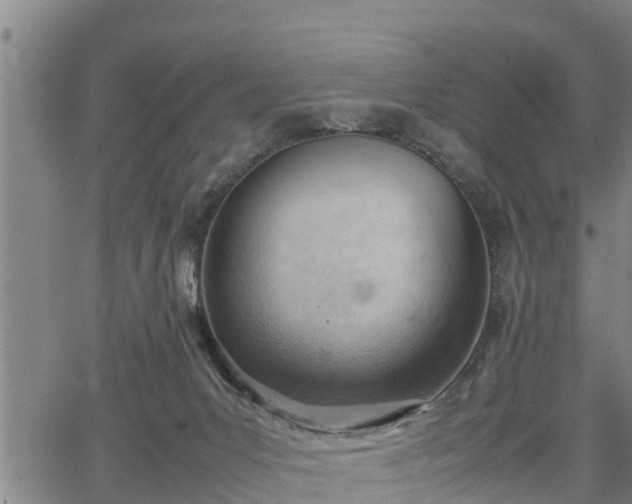 X0000064750031200602131238