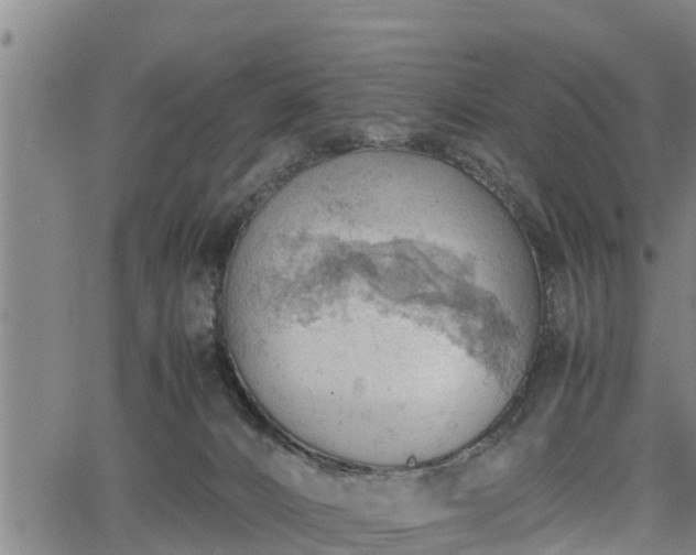 X0000064750032200602131238