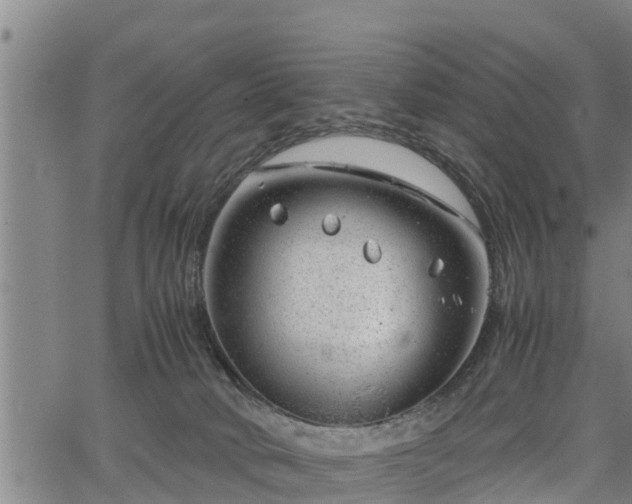 X0000064750034200602131237