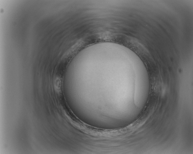 X0000064750036200602131237