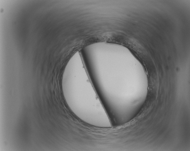 X0000064750037200602131237