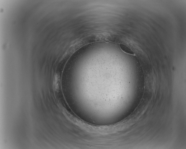 X0000064750038200602131237