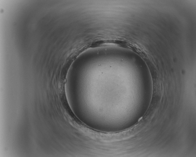 X0000064750039200602131237