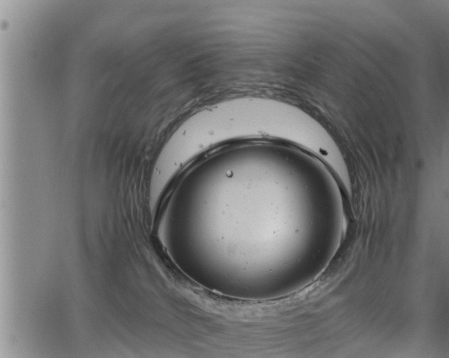 X0000064750040200602131237