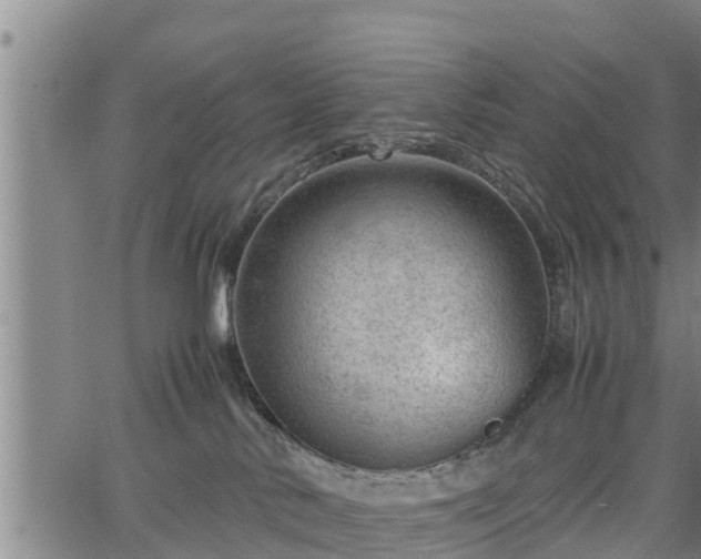 X0000064750042200602131237