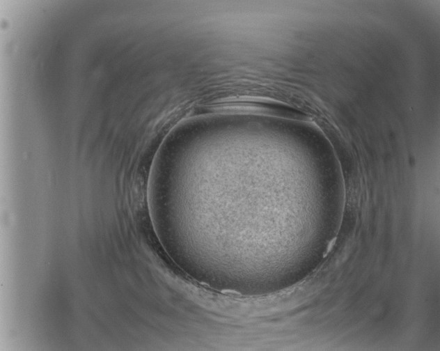 X0000064750043200602131237