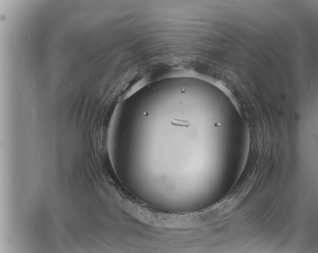 X0000064750044200602131237