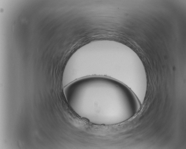 X0000064750045200602131237