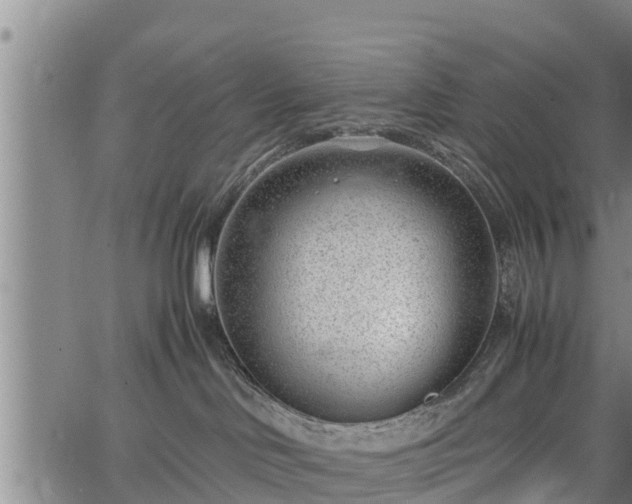 X0000064750046200602131237