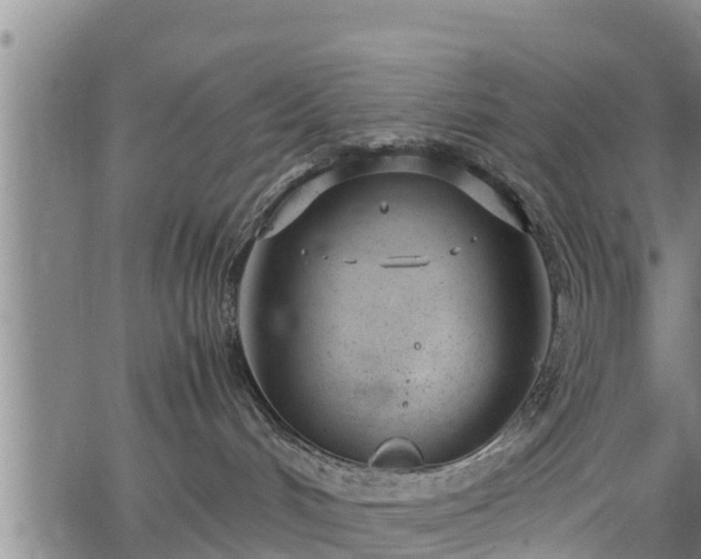 X0000064750048200602131237