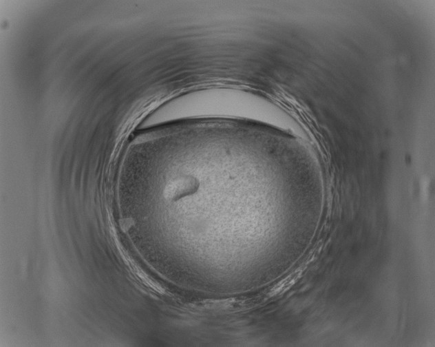 X0000064750049200602131236