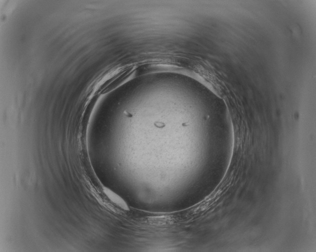 X0000064750050200602131236