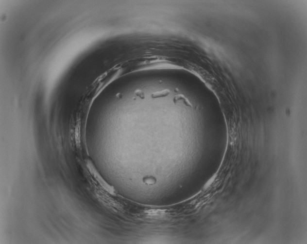 X0000064750052200602131237