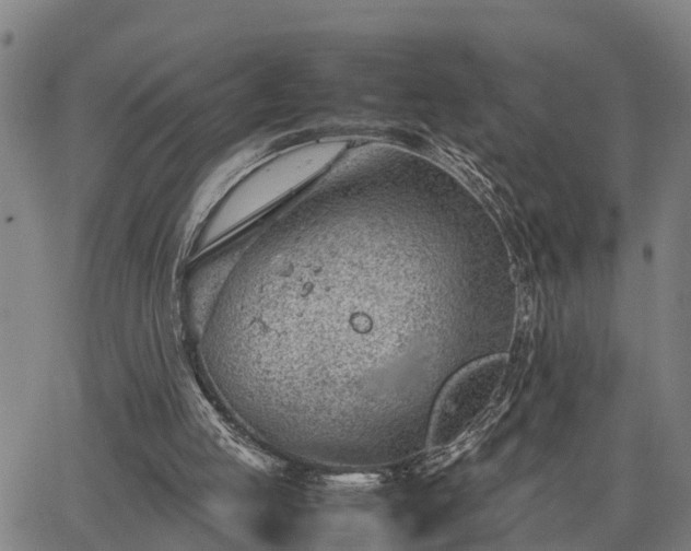 X0000064750053200602131237