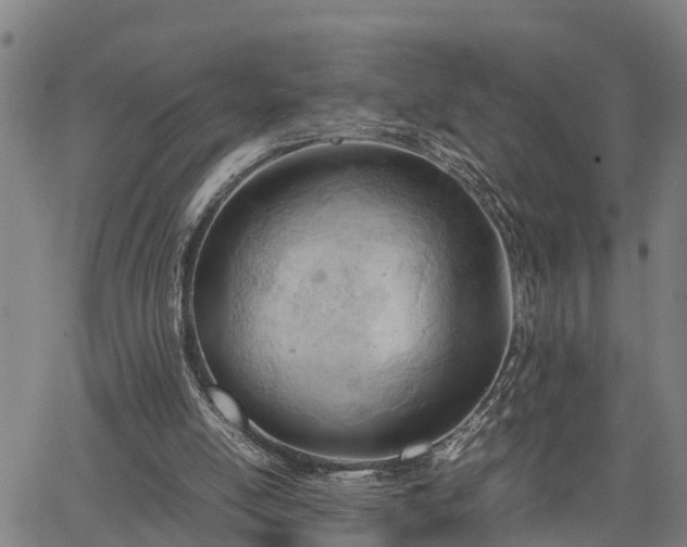 X0000064750054200602131237