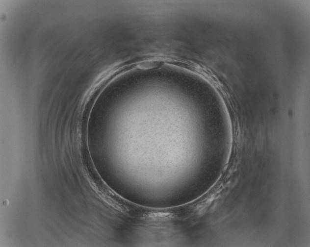 X0000064750055200602131237