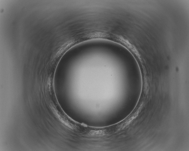 X0000064750057200602131237