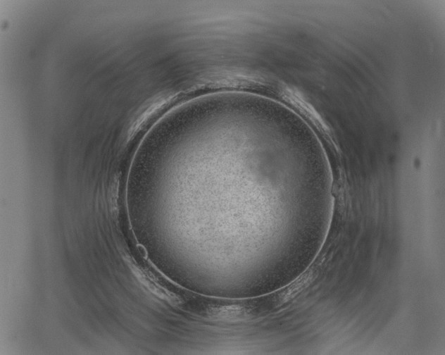 X0000064750058200602131237