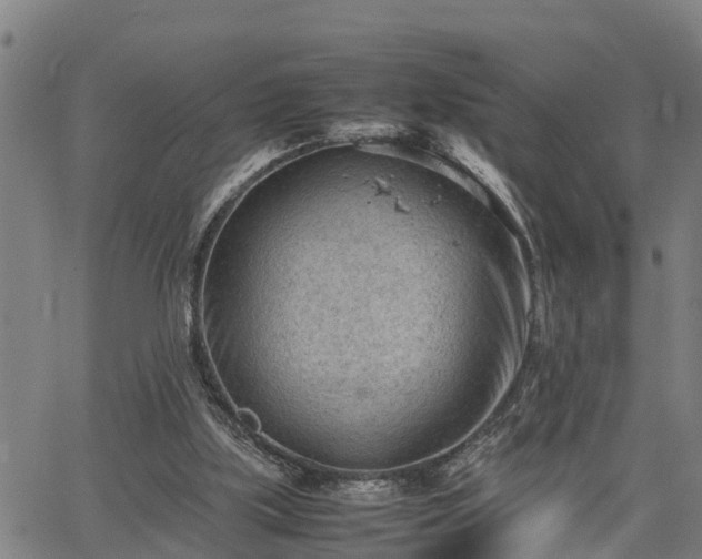 X0000064750059200602131237