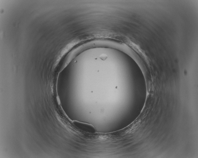 X0000064750060200602131237