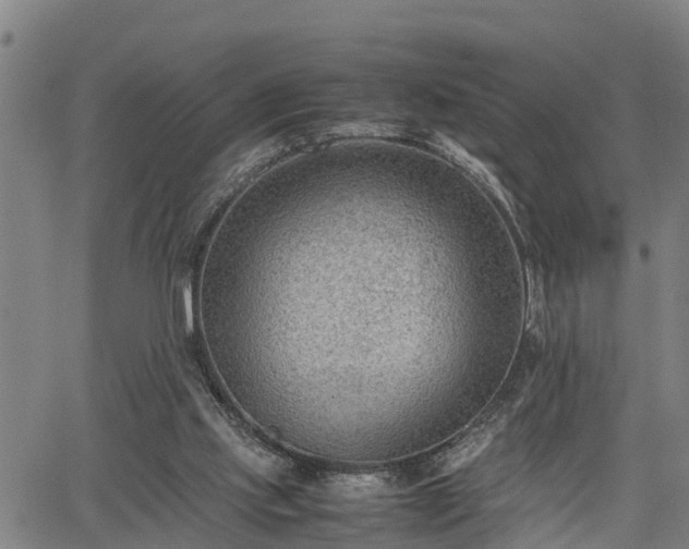 X0000064750061200602131237