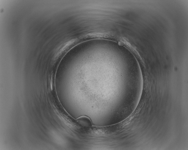 X0000064750062200602131237