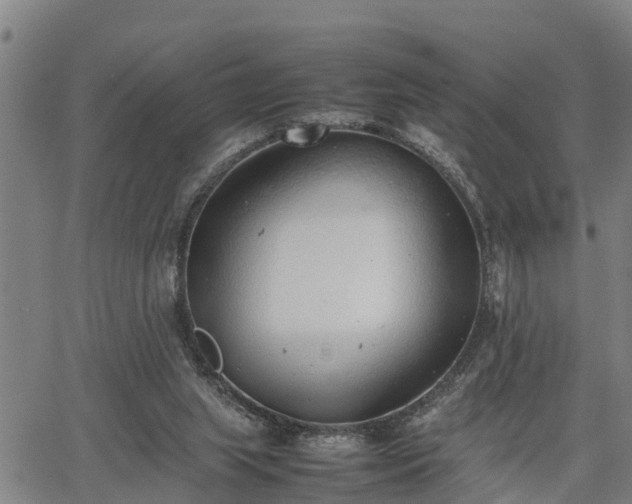 X0000064750063200602131237