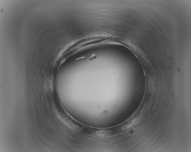 X0000064750064200602131237