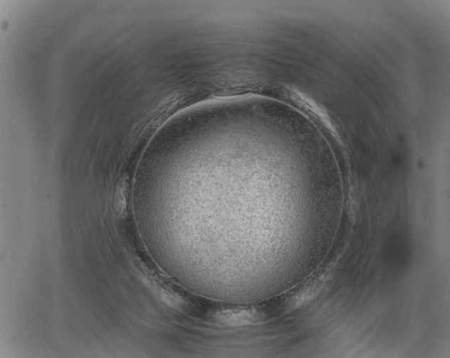 X0000064750065200602131237