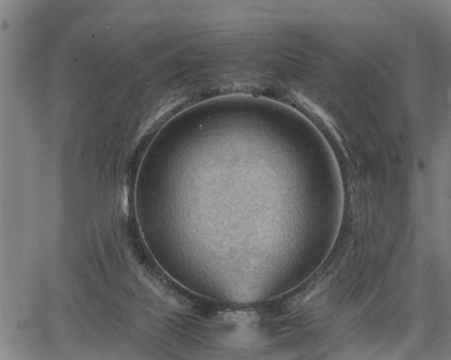 X0000064750067200602131237