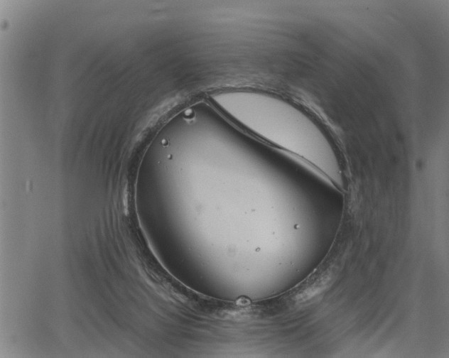 X0000064750068200602131237